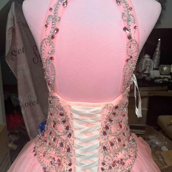 Pink jewel corset prom and wedding dress - Picture 1 of 6